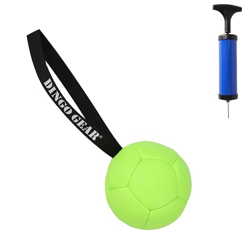 Dingo Gear Dog Ball and Pump Set, Faux Leather, Green 5in - color: Green Ball+Pump, size: 5"
