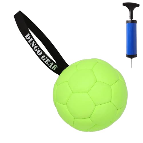 Dingo Gear Dog Ball and Pump Set, Faux Leather, Green 7in - color: Green Ball+Pump, size: 7"