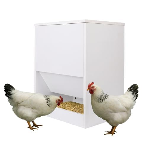 Chicken Feeders & Poultry Feeding Equipment, 10LB White Wooden Feeder, Durable Automatic-Style No Waste Trough for Backyard Chickens, Bantams & Turkeys