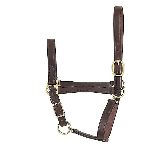 Perri's Economy Leather Halter, Havana - size: Yearling