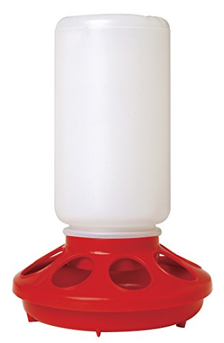 Little Giant® Plastic Poultry Feeder Base | Heavy Duty Plastic Feed Tray for 1 Quart Container | Base for Chicken Feeder (Pack of 1, Red)