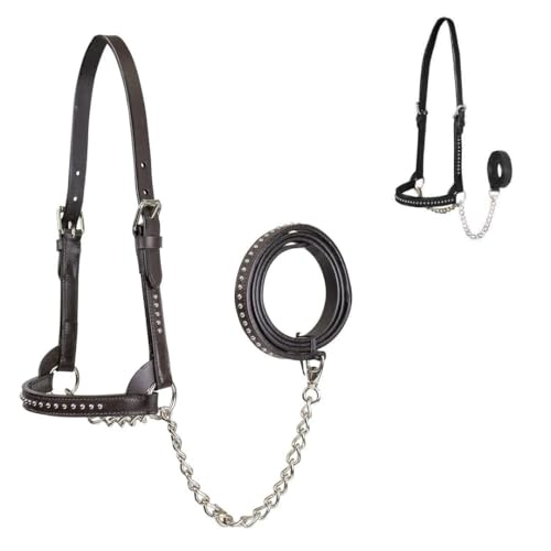 Derby Originals New and Improved Premium Show Spotted Flat Leather Cattle Show Halter with Matching Chain Lead - color: Havana, size: Large (950lbs-1500lbs)