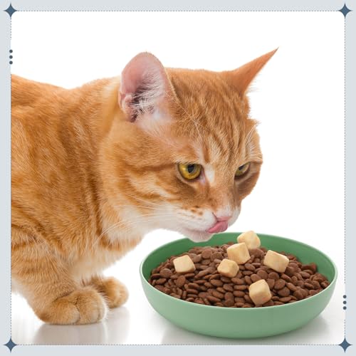 Tioncy 24 Pcs Cat Food Bowl 5.5'' Fatigue Relief Shallow Cat Food Dish Wide and Small Pet Wet Plate Wide Stray Wet Feeding Bowl for Ferrets Feral Short Legged Kitten, Wheat Straw(Blue,Green,Classic) - color: Blue,Green, style: Classic