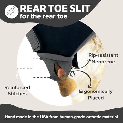 Chicken Shoes for Injured Feet – Protective Neoprene Footwear for Chicken, Open-Toe Design for Bumblefoot Relief, Made in USA (Chicken Shoes, Navy, Medium Chickens) - color: Navy