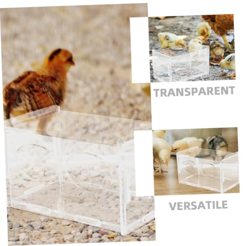 Toddmomy 3pcs Rutin Chicken Feeder and Water Bowl Automatic Poultry Dispenser for Healthy Feeding Design for Backyard Farmers and Hobbyists