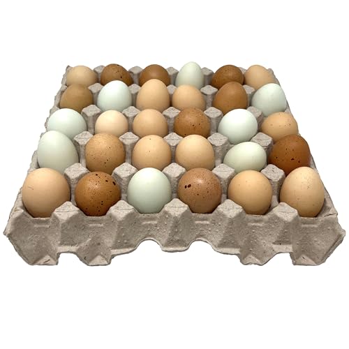 Paper Pulp Egg Trays - 20 Pack - size: 11.5 x 11.5 x 2 inches