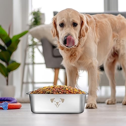 Sweetude 4 Pcs Stainless Steel Dog Bowls Bulk High Capacity Metal Dogs Food and Water Bowls for Large Dogs Pets(Silver,1.25 Gallon) - color: silver, size: 1.25 Gallon
