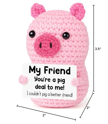 Mini Funny Pink Pig Best Friend Friendship Birthday Gifts for Women Men | Back to School Gift for College Student,Positive Handmade Crochet Gift for Friends Female Girl,Encouraging Pick Me Up Gift - style: Friend