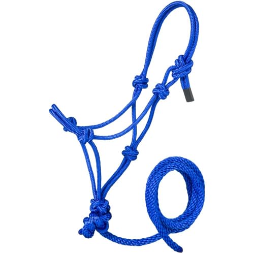 Tough1 Miniature Poly Rope Halter with Lead - color: Royal Blue, size: Small