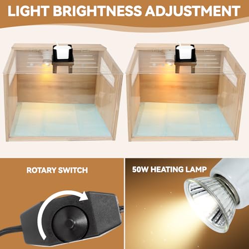 Chicken Brooder Box with Camera : 2.5K HD 5G Chicken Watching Camera, Adjustable Temperature Control Brooder Box for Small Chicks, Ducks, Quails, Idea Gift Christmas (15.7x12x12 Inches) 