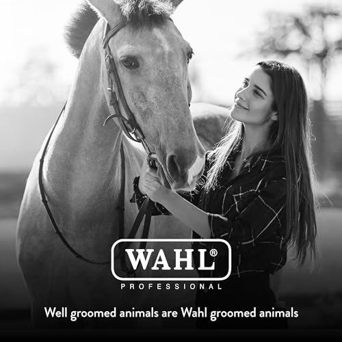 WAHL Professional Animal Equine Grooming Combo Body Horse Brush - Black - color: Black/Beige