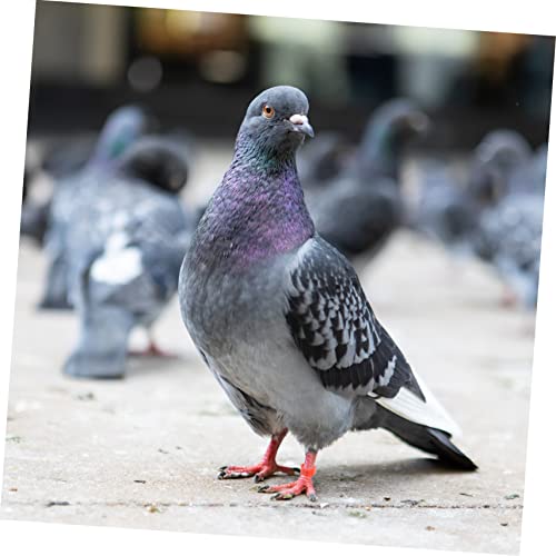 Toddmomy 100pcs Pigeon Foot Rings Durable Plastic Bird Leg Bands for Identification Mixed Colors for Poultry Chickens Ducks and Birds
