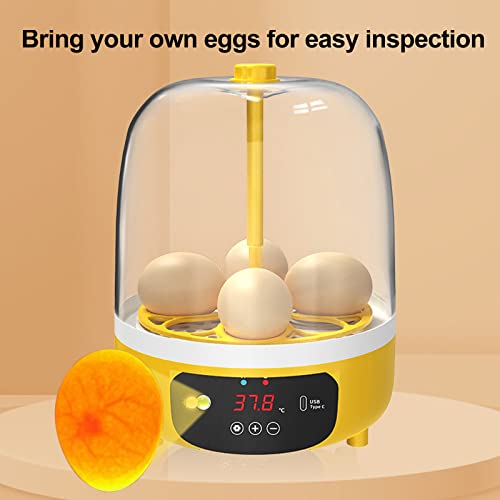 Tissting Mini Egg Incubator, Digital Incubators for Hatching Chicks, Holds 4 Eggs, Automatic Turner with Temperature and Humidity Control