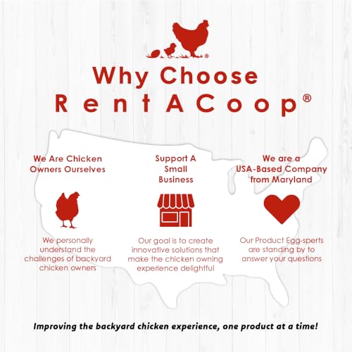 RentACoop 2 Gallon Chicken Waterer with Auto-Fill Cups, Horizontal Nipples, Anti-Roost Cone and Mounting Kit - Suitable for Chickens, Quail, Ducks, Geese, Turkey and More (Pack of 2)