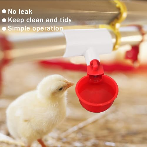 10 Pieces Chicken Waterer PVC Tee Fittings, Automatic Poultry Waterers PVC Fittings for 1/8" FTP Threads, Chicken Water Drinker and Feeder Cups for Poultry Nipples Chicken - size: 10