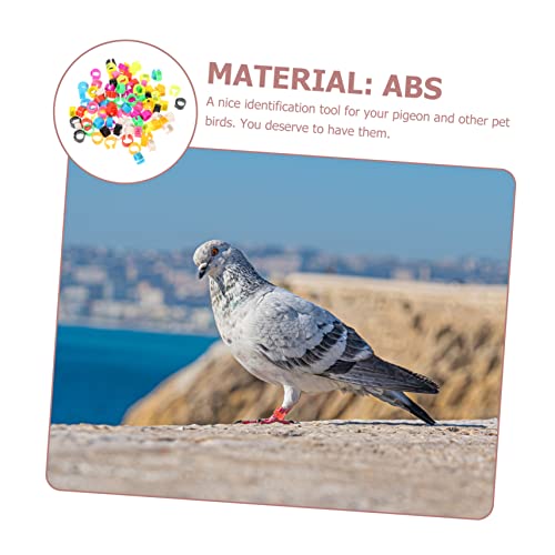 UKCOCO 100pcs Pigeon Anklet Chicken Coop for Chickens Feeders Rooster Chicken Ring Plate Chick Grit Plucker Pigeon Supplies Bird Feeder Quail Leg Bands Outside Abs Colorful