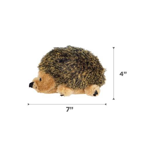 Outward Hound Hedgehogz Stuffed Dog Toy – Soft Plush Hedgehog, Squeaks, 6" x 4" x 4.5" - size: Small (Pack of 1)