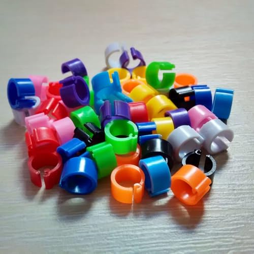 100 Pcs Multicolor 8mm Poultry Leg Rings, Bird Identification Foot Bands Clip-on Rings for Birds, Ducks and Chickens