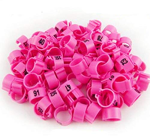 100pcs/lot Color Numbered Birds Duck Chicken Leg Bands 12mm Chicken Rings - color: pink