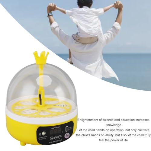 Mini Egg Incubator, 7W 4 Eggs Automatic Temperature Humidity Control Candler Poultry Hatching Machine Low Noise Tabletop Chicken Turner for Chickens Ducks Pigeons (Auto Turning) - size: Auto Turning