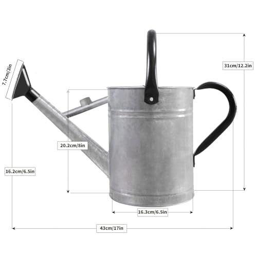 1 Gallon Metal Watering Can with Removable Spout, Nice Galvanized Steel Water Can for Indoor and Outdoor Plants (House Plants) - color: Silver