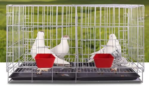 10 Pack Chicken Feeder Waterer Hanging 16 OZ Rabbit Water Cup Cage Bird Food Dishes Pigeon Feeding Watering Bowl with Hooks Bunny Poultry Coop Drinker Quail Seed Treats Dispenser