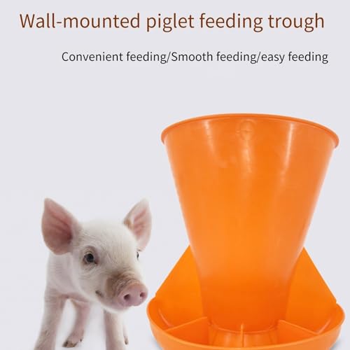 Wall Mounted Pigs Feeder with 4 Feeding Compartments for Organized Livestock Feeding Easy to