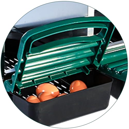 TrailBlaze Green Metal Chicken Nesting Box with Bracket Legs – 6 Compartments, Pull-Out Tray, Roll-Away Design, Lid Cover for Protection, Poultry Equipment – (Green with Bracket Legs, 6 Compartment