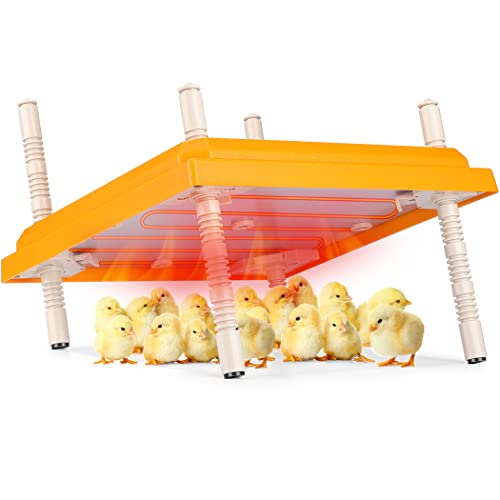 Brooder Heater for Chicks, 12" x 12" Thermostatically Controlled Brooder Heating Plate, Chick Brooder Heater with Adjustable Height and Angle