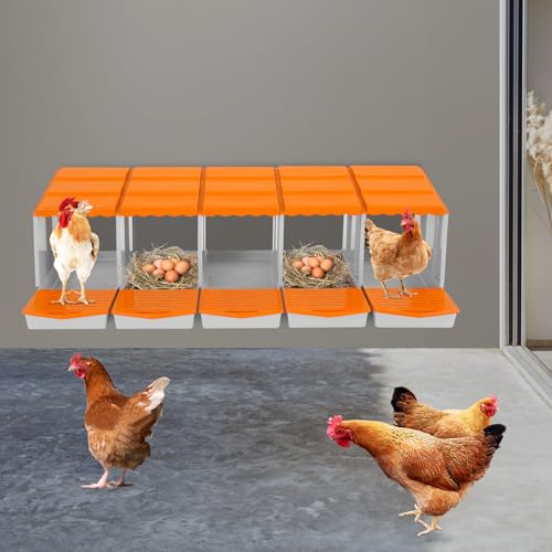 Chicken Nesting Boxes, 5 Compartment Nesting Boxes for Laying Eggs, Roll Away Nesting Box Egg Collection Tray, Wall Mount Poultry Roll Away Chicken Laying Boxes (Orange) - color: 5 Compartment Nesting Boxes (Orange)