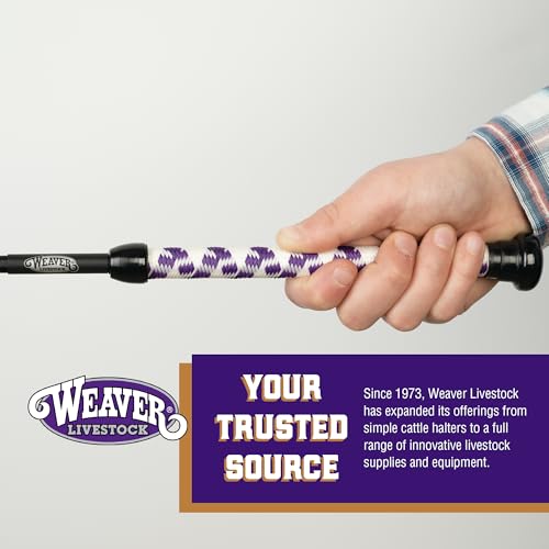 Weaver Livestock Basic Pig Show Whip, Hog Livestock Whip with Braided Nylon Handle, Leather Popper, Lightweight Braided Shaft - color: 36" - Purple/White