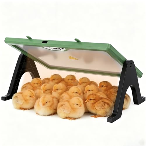 Brooder Heat Plate,180w, Remote Control, Adjustable Temperature & Angle,Built-in Light, Safe Radiant Chicken Warmer, Dual Side Warming Plate. Hangable Coop Heater for Chicks Poultry Brooding - size: 12.0"L x 12.0"W x 6.0"H