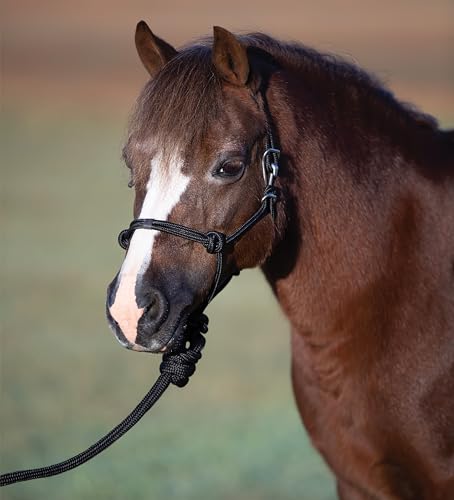 Professional's Choice Easy On Rope Halter W/Lead - color: Black, size: Pony