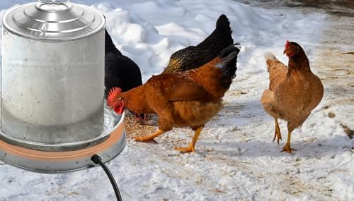 Poultry Chicken Water Heater: Chicken Water Heater Base for Winter, for Plastic/Metal Poultry Watere Under 3 Gallons(11 inch), Heated Waterer for Chickens 125W - size: 11 inch (1-Pack)