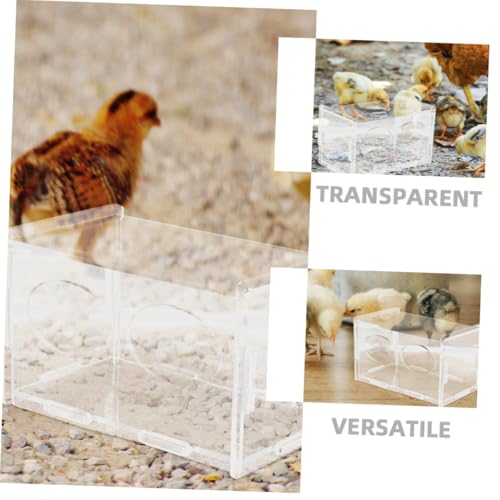 3pcs Chicken Feeding Holder Two Compartments Automatic Poultry Feeder for Backyard Farmers and Hobbyists for Chickens and Quails