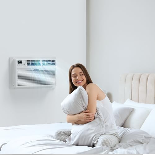 ROVSUN 10000 BTU Through the Wall Air Conditioner with Remote Control, 4-in-1 Wall AC Unit, Heater, Dehumidifier & Fan with Timer for Bedroom, Apartment, Dorm up to 450 Square Feet, 230V/60Hz - style: 10000 BTU-Cool & Heat