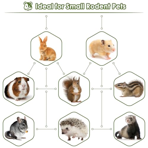 Bissap 6PCS Bunny Chew Toys, Natural Hanging Rabbit Chew Toy Treats for Guinea Pigs Hamsters Gerbils Chinchilla and Other Small Pets for Teeth Grinding - size: 6 PCS