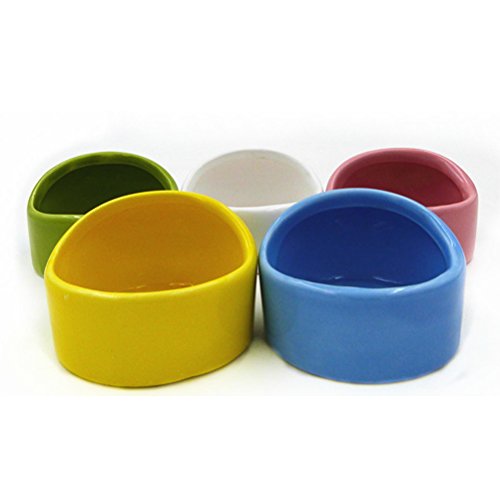 Gradient Side Hamster Ceramic Bowl,Cute Small Animal No Spill No Turnover Food Water Bowl Dish Holder for Guinea Pig Rodent Rat Gerbil Cavy Hedgehog Dwarf Feeder Feeding Bowl Basin,Pet Supplies,White - color: White