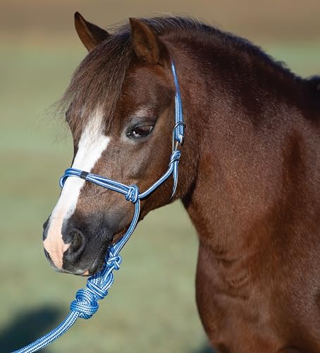 Professional's Choice Easy On Rope Halter W/Lead - color: Turquoise, size: Pony