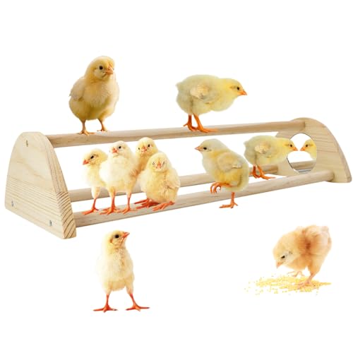 Chicken Perch with Mirror Roosting Bar for Baby Chicks Chick Jungle Gym Roosting Bar Strong Wooden Baby Chick Perches