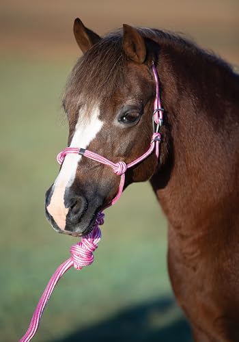 Professional's Choice Easy On Rope Halter W/Lead - color: Pink, size: Mini