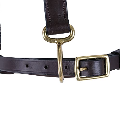 Schneiders Premier Leather and Rope Control Halter for Horses | Superior Horse Control | Enhanced with Rope Pressure Points | Double Ply Leather | Ideal for Young and Hot Horses - size: Cob