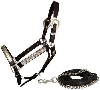 Showman Engraved Silver Show Halter & Lead with Gold Beaded Accent