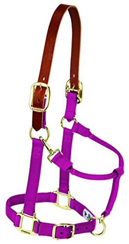 Weaver Equine Breakaway Horse Halter, Supple Leather Crown, Adjustable Brass Throat Snap Halters for Horses, Equine Tack - color: Raspberry