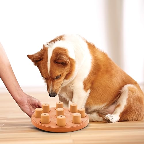 Outward Hound by Nina Ottosson Dog Smart Treat Puzzle Enrichment Toy, Level 1 Beginner, Orange, Composite - color: Dog Smart Composite (Orange)