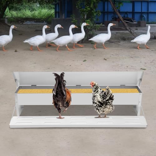 Automatic Galvanized Chicken Feeder, 22LBS Large Capacity Poultry Feeders Treadle Metal Treadle Feeder with Treads Non-Slip Grooves for Chickens Bantams Poultry Pheasants
