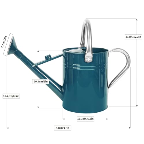 1 Gallon Metal Watering Can with Removable Spout, Nice Galvanized Steel Water Can for Indoor and Outdoor Plants (Ocean Blue) - color: Ocean Blue