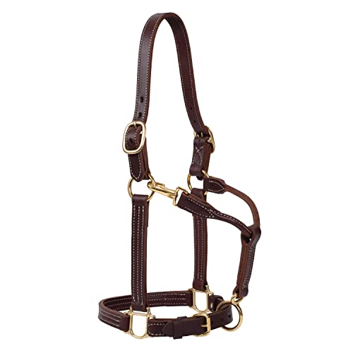 Weaver LeatherWeaver Leather Nylon Chevron Non-Adjustable Horse Halter, Large, Black/Multi - color: Oiled Canyon Rose, size: Large