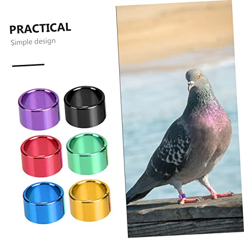 GALPADA 18pcs Pigeon Foot Rings Durable Identification Bands for Pigeons Parakeets and Cockatiels Reusable and Easy to Apply Bird Leg Bands for Poultry Identification Random Color