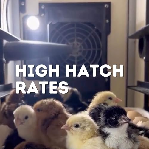 360-Egg Incubator Kit (180 Setter + 180 Hatcher) with Automatic Turner & Digital Control – Quail, Chicken, Duck, Goose & More – By Hatching Time - size: 360 Eggs (180 Setter + 180 Hatcher)